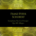 Astral Classic: 42. Franz Peter Schubert (슈베르트)