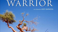 The Warriors:Original Motion Picture Score专辑