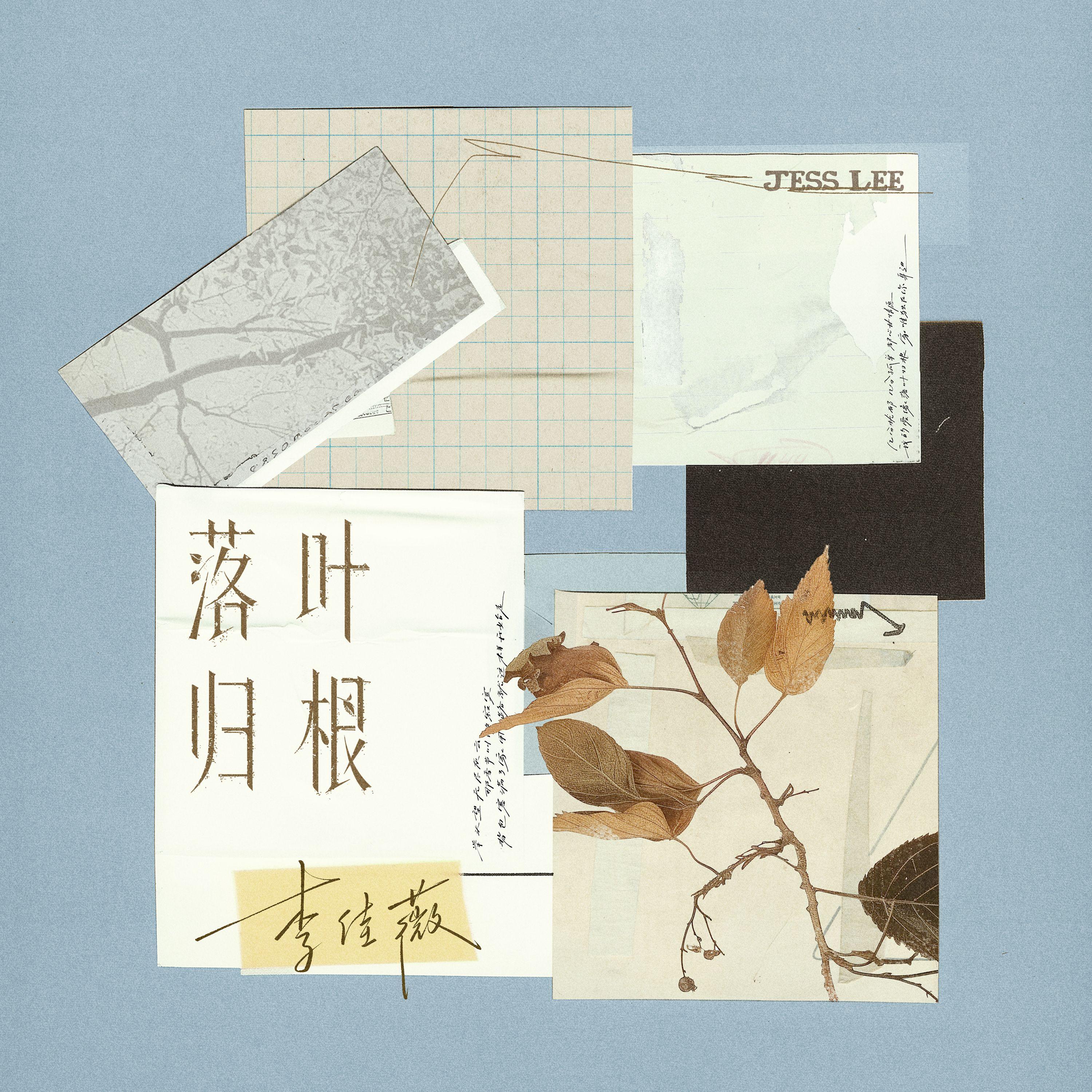 落葉歸根 海報
