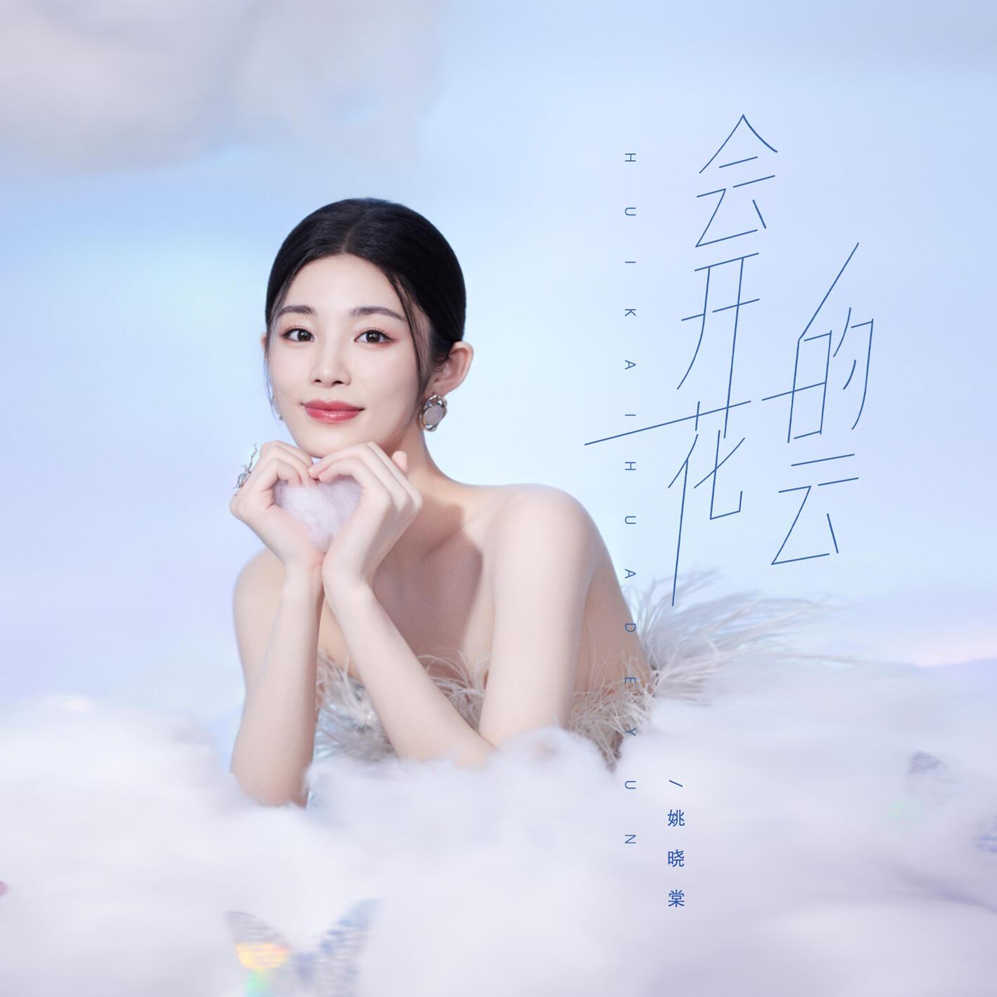 会开花的云 海报