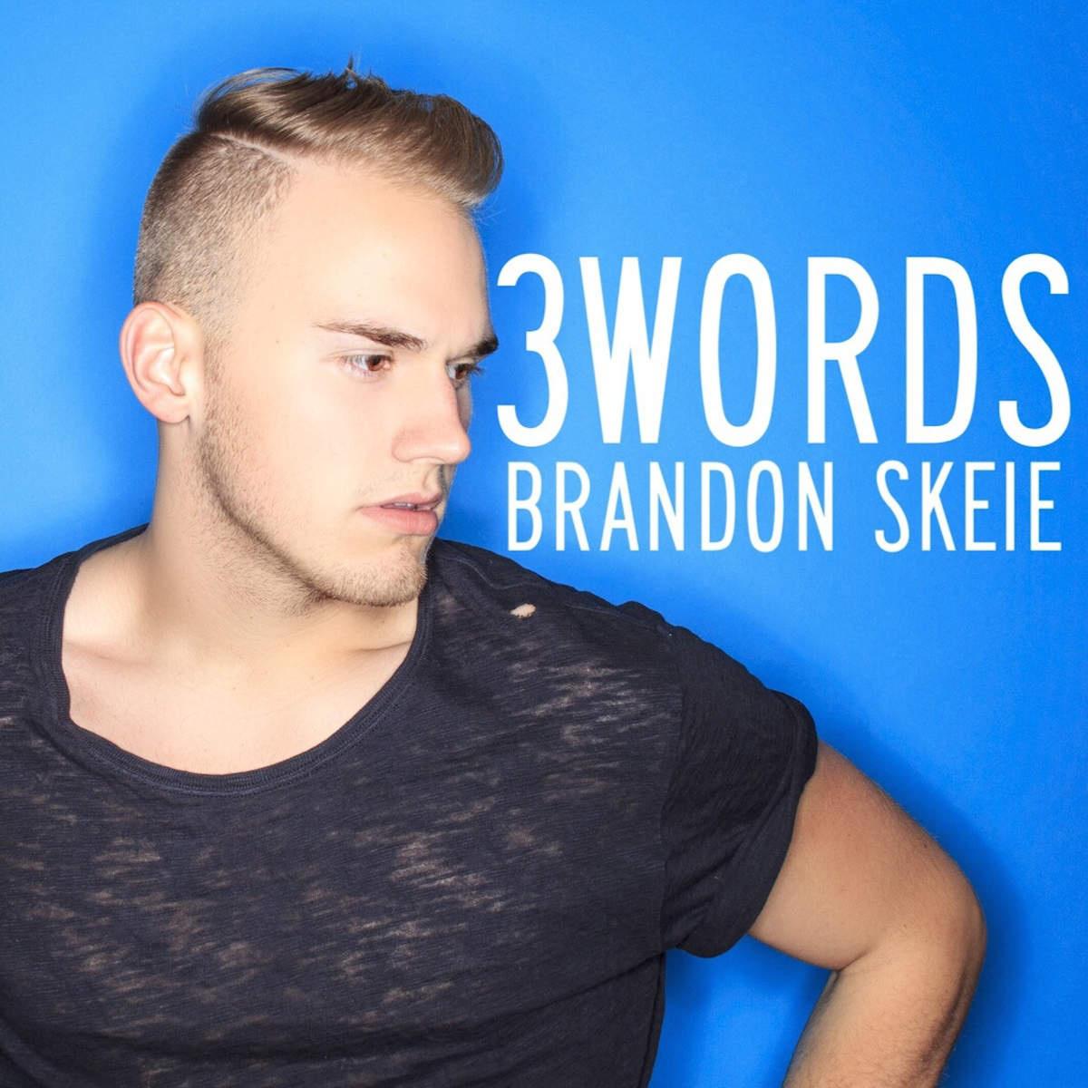 brandon,super dad lie to me - brandon skeie - 网易云音乐