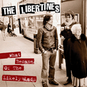 What Became of the Likely Lads - Single专辑