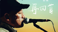 再回首专辑