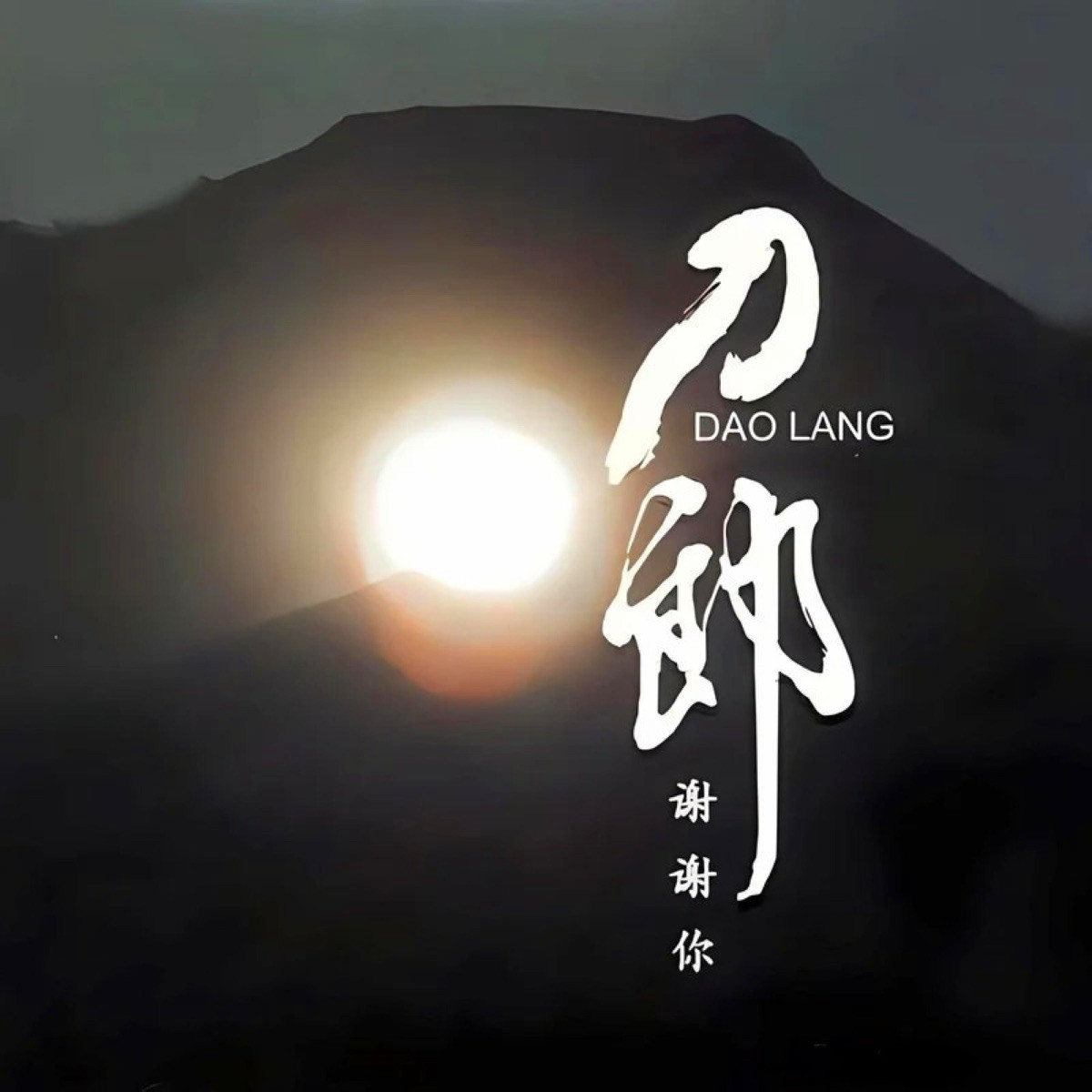 谢谢你 banner