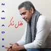Fadel Shaker - Ya Habibi (Live)