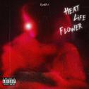 Heat/Life/Flower专辑