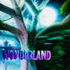 IMNNP - Wonderland