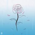 情人节限定