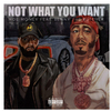 Moe Money - Not What You want (This Aint)