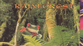 Heart of the Rainforest专辑