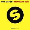 Roy Gates - Midnight Sun (Electro Mix)