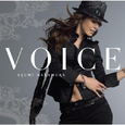 VOICE