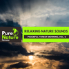 Nature Science Culture Music - Rebellious Natural Silence