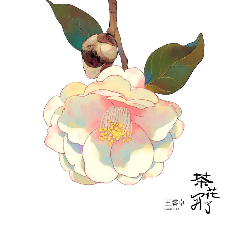 茶花開了 banner