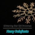 Glittering Star Of Christmas