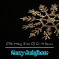 Glittering Star Of Christmas