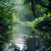 Sonidos Naturales Zen - Lluvia Pacífica Para Momentos Tranquilos