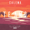 Calema - Te Amo (DJ Youcef Remix)