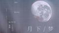 月下梦专辑