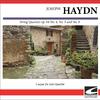Caspar da Salo Quartet - Haydn String Quartet #53 In D major, op. 64, No. 5, H 363, 'The Lark' - Adagio cantabile