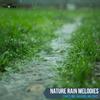 Refreshing Minds Rain Music - Such Heavy Rain