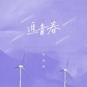 追青春专辑