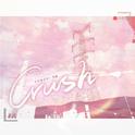 Crush专辑