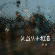 就当从未相遇