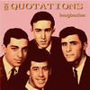 The Quotations - Why Not Why Not You