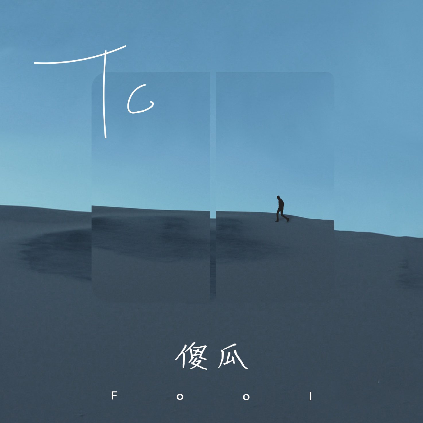 傻瓜 海报