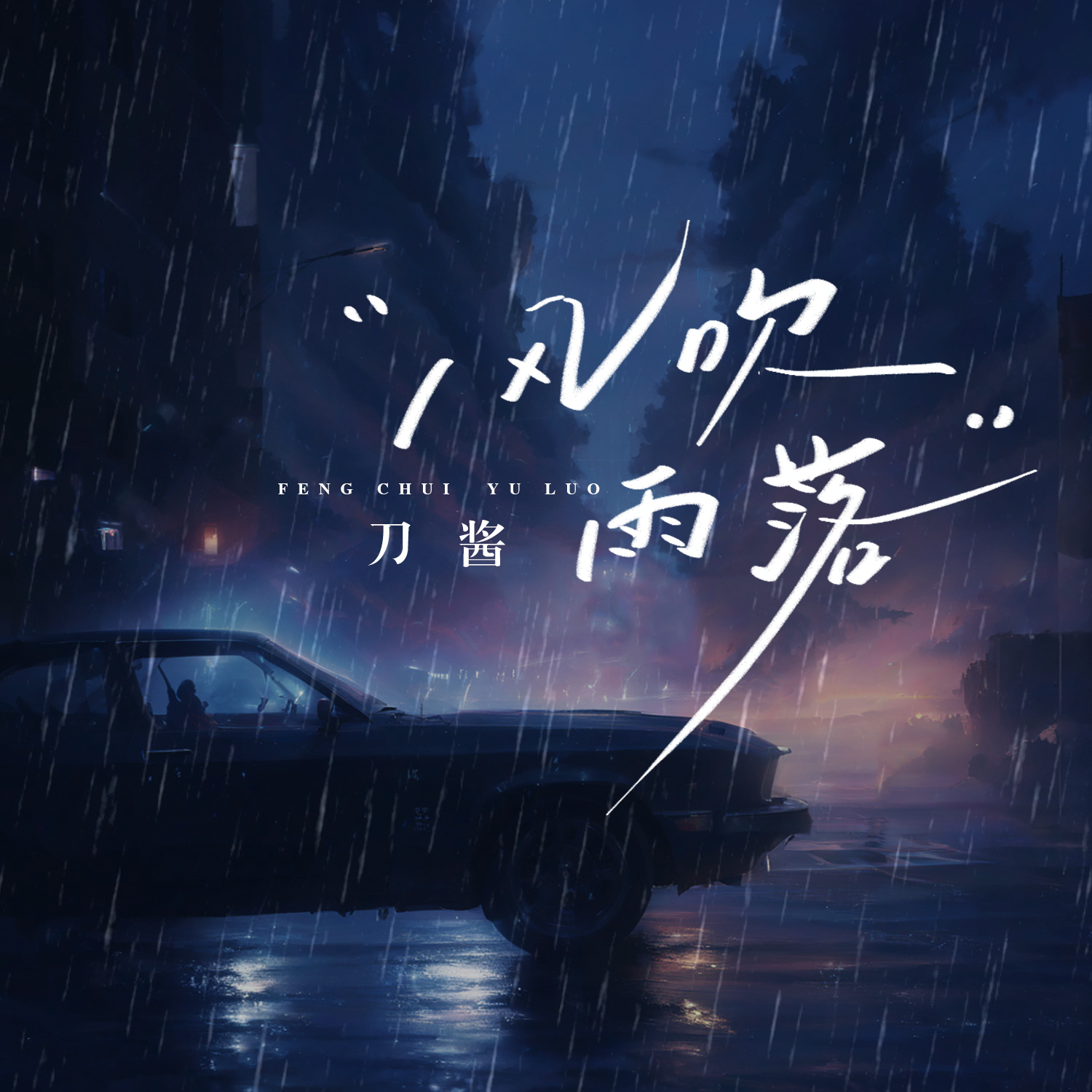 风吹雨落（DJ版） 海报