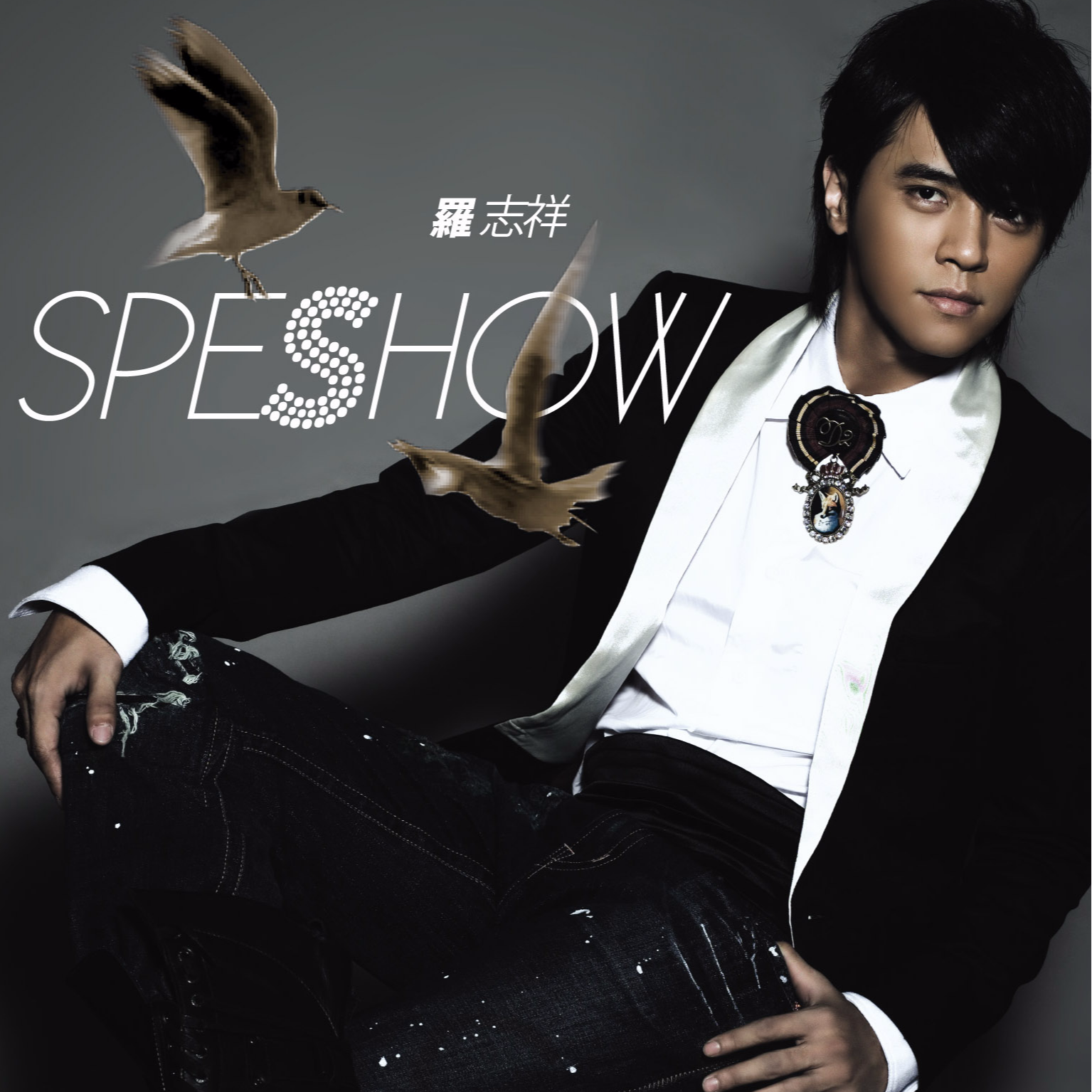 精舞门 banner