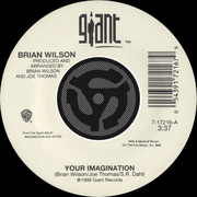 Your Imagination / Your Imagination [A Cappella] [Digital 45]