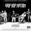 Krip Hop Nation - We R All Sick