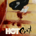 Hot Girl (Bodies Bodies Bodies)专辑