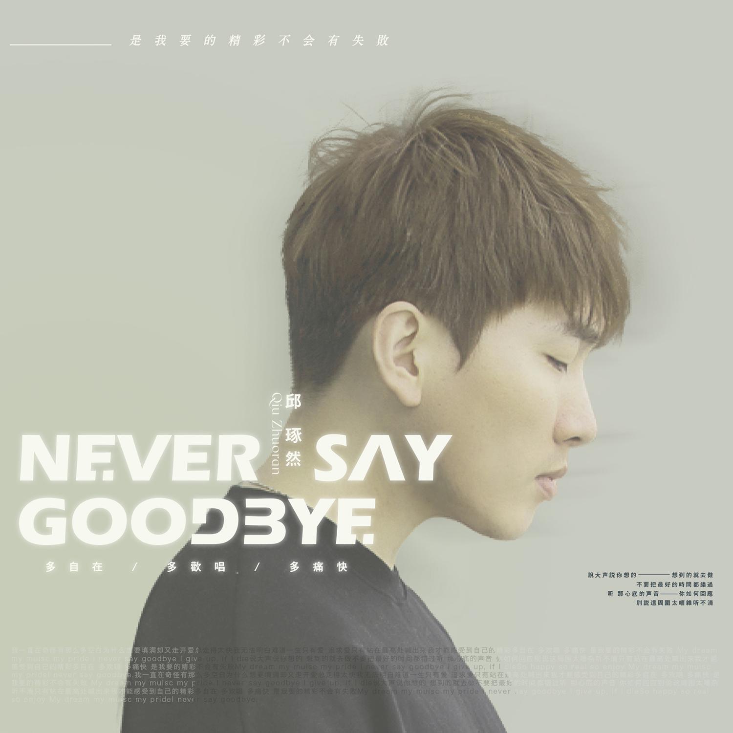 Never Say Goodbye专辑