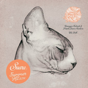 Suara Summer Hit 2014