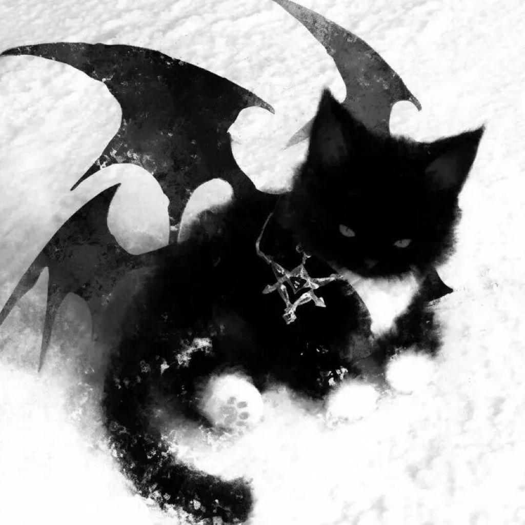 有只黑猫叫灰心