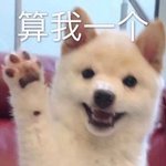粤语
