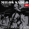 Czech Radio Symphony Orchestra - Rhapsody For Cello And Orchestra