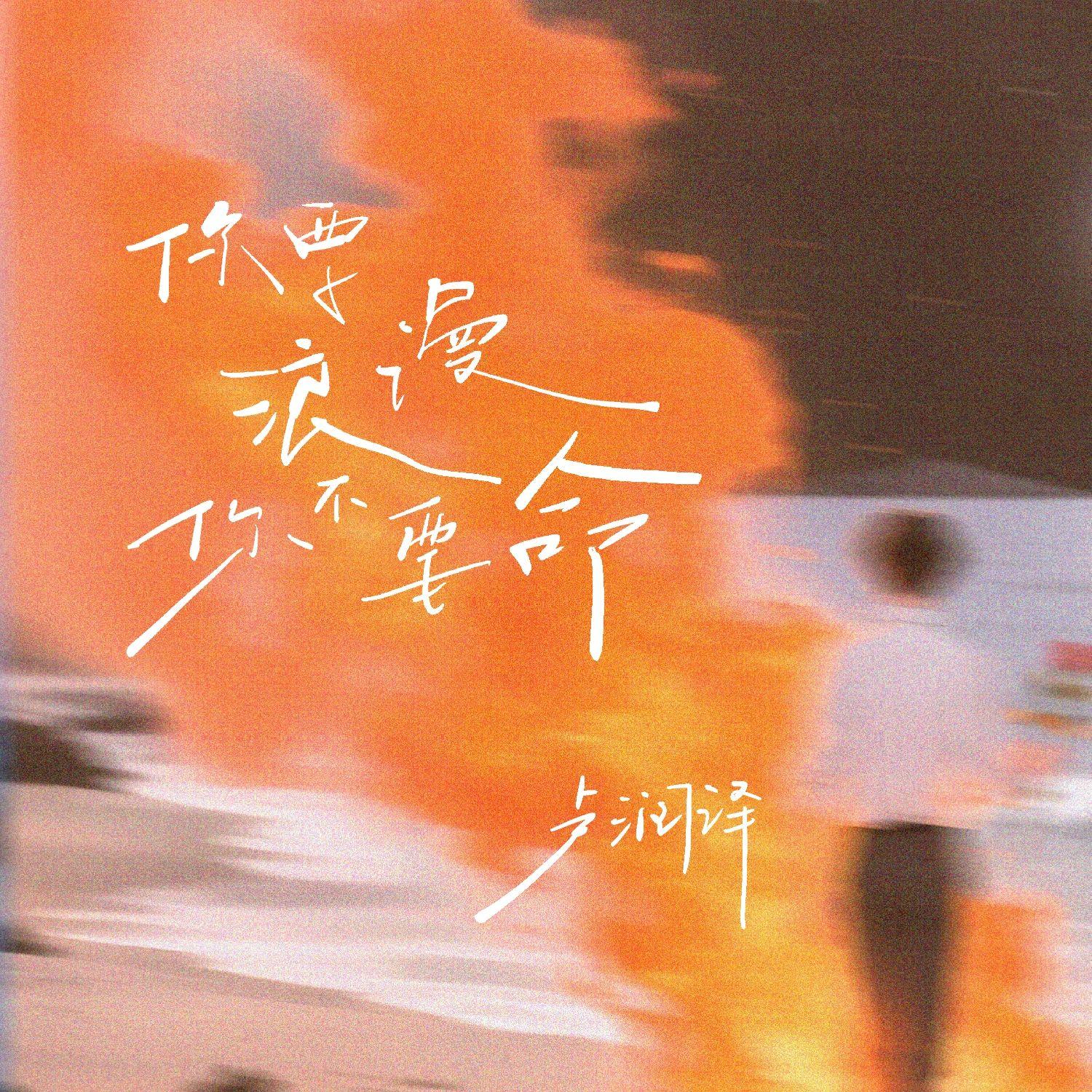 你要浪漫你不要命 海报