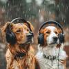 Music for Pets Library - Rain's Peaceful Melody for Pets