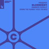 Probspot - Blueberry (Markus Schulz Down The Rabbit Hole Extended Remix)