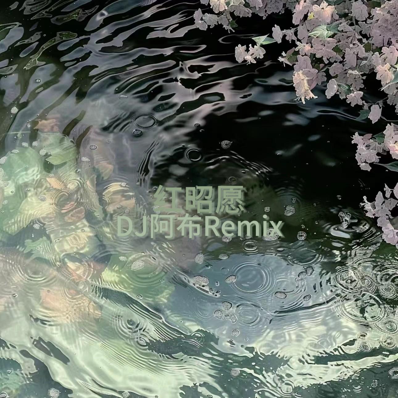 红昭愿 (DJ版) banner