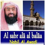 Al Sabr Alâ Al Balâa专辑