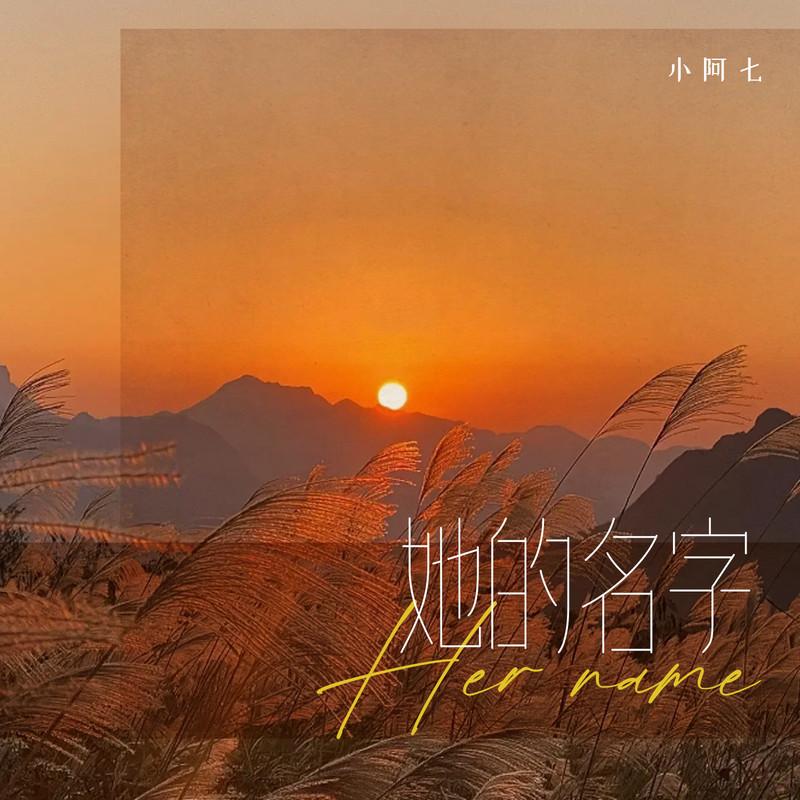 她的名字 海報