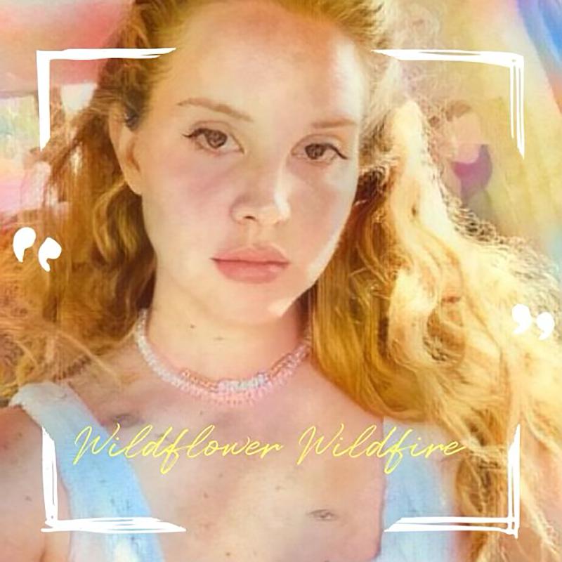 Wildflower Wildfire专辑