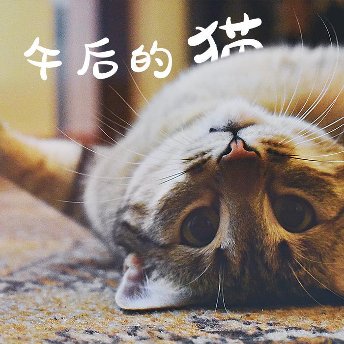 午后的猫专辑