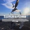 HETR - cinnamons-Summertime（HETR / 念宸 remix）