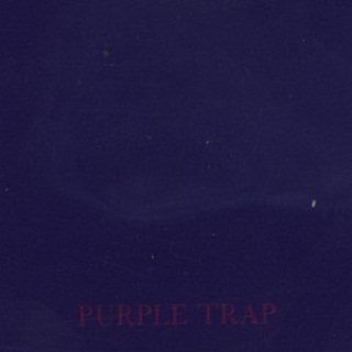 Purple Trap - The Wound That Was Given Birth To Must Be Bigger Than The Wound That Gave Birth专辑